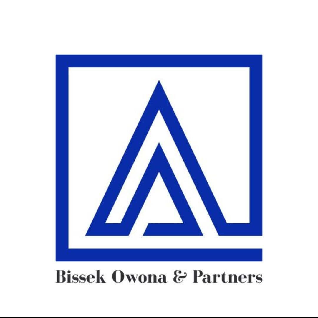 Bisseck Ownona & Partners